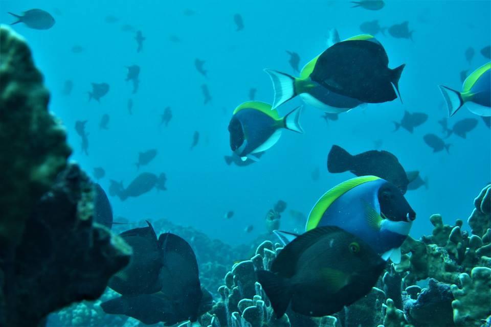 Pulau Weh Paradise Sabang  Luaran gambar