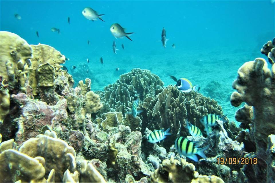 Pulau Weh Paradise Sabang  Luaran gambar